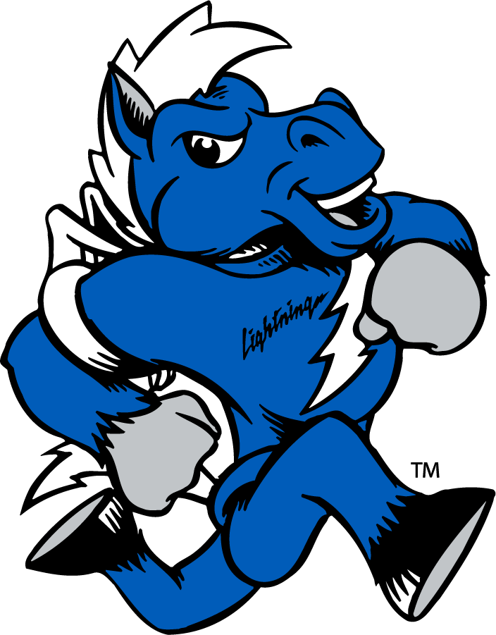 Middle Tennessee Blue Raiders 2015-Pres Mascot Logo iron on transfers for clothing